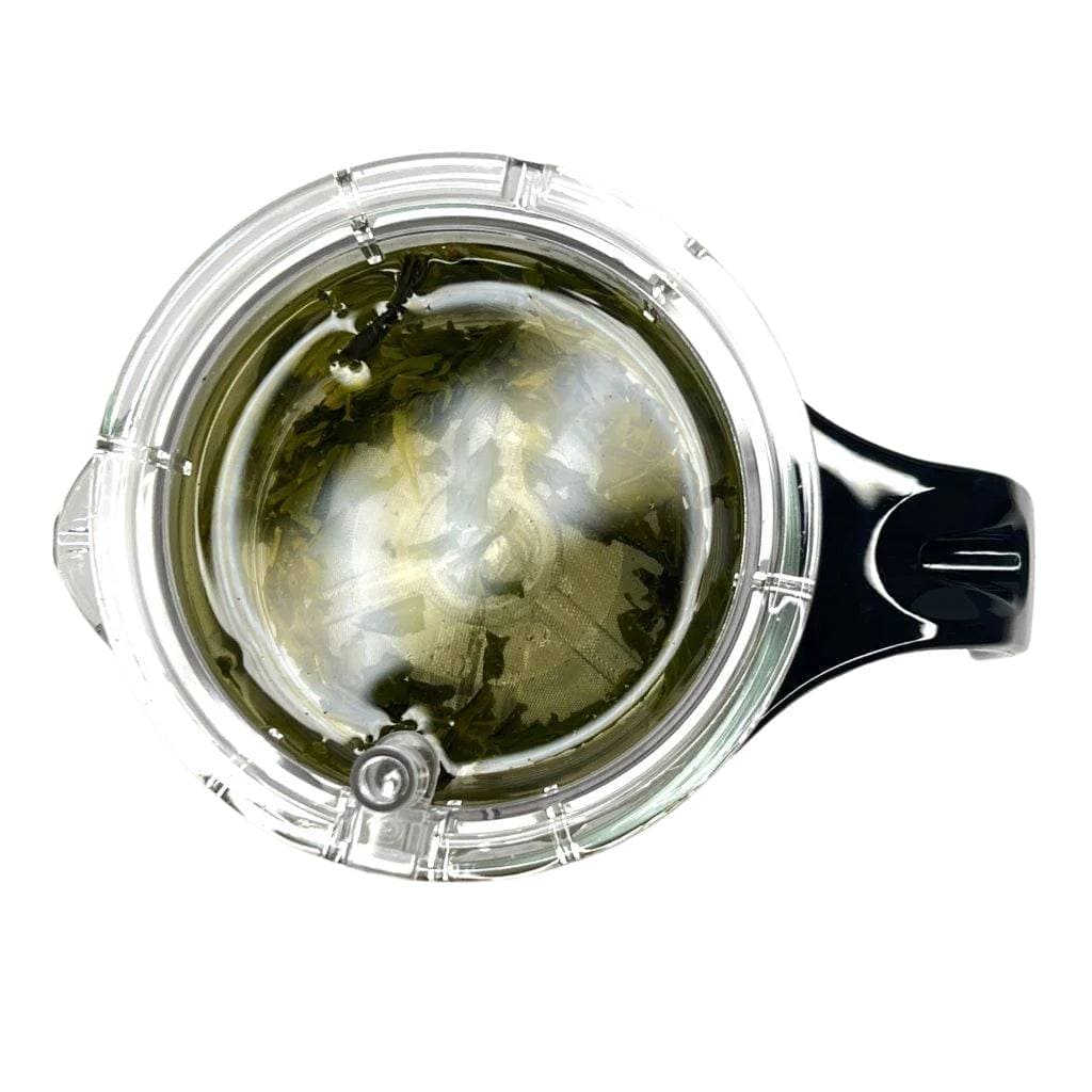 Mini Pro Infuser with Ryougouchi Sencha Broth