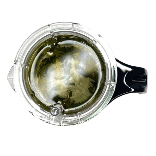 Mini Pro Infuser with Ryougouchi Sencha Broth