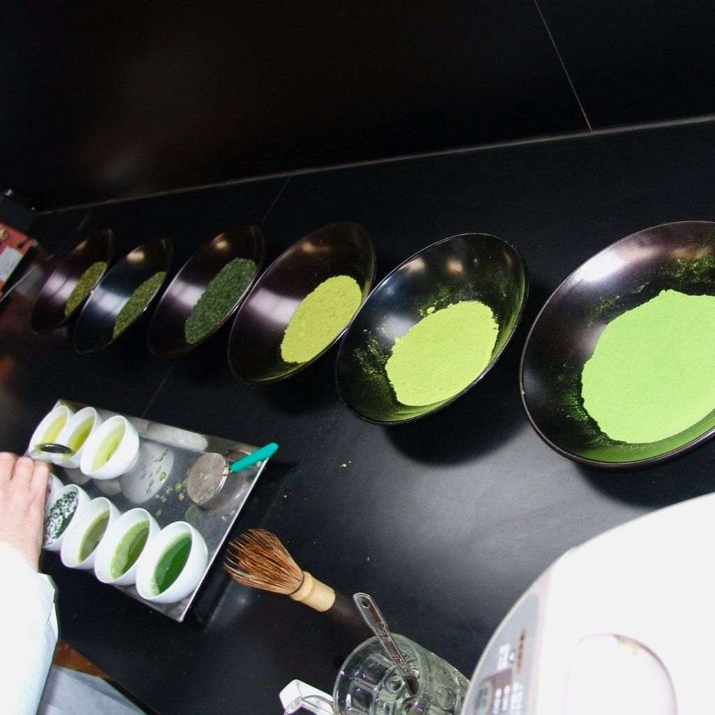 Matcha Tasting