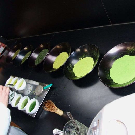 Matcha Tasting