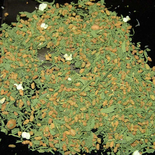 Imperial Jade Green Tea with Toasted Rice