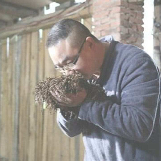 Lapsang Souchong Processing