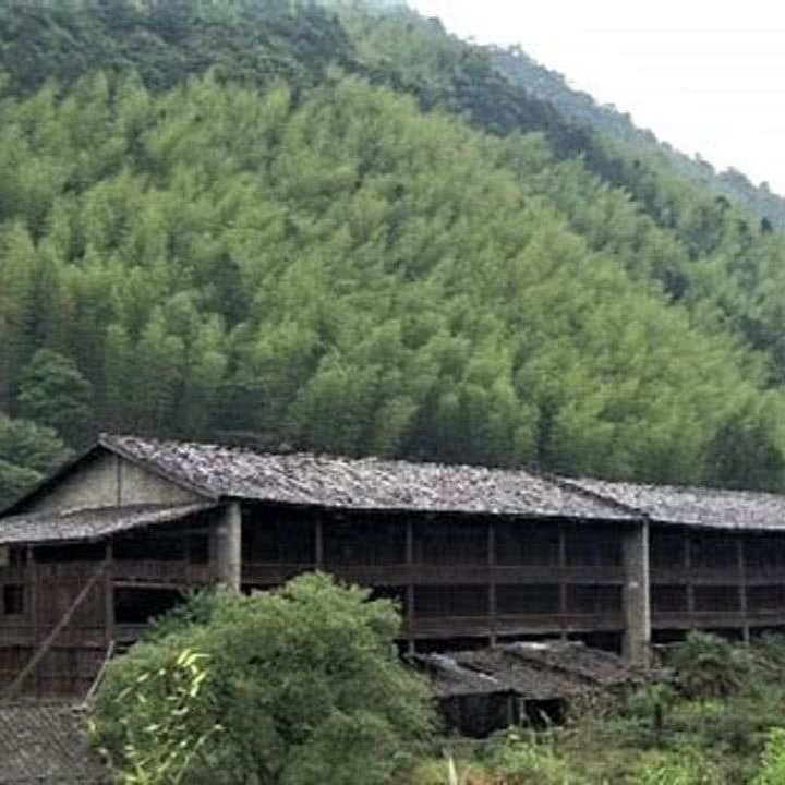 Lapsang Souchong Field