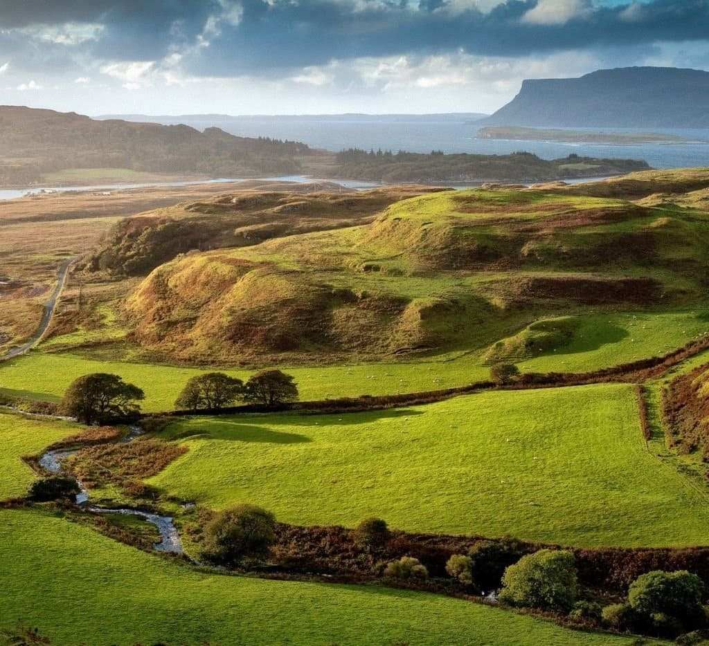 Islay Scotch Whisky Blend