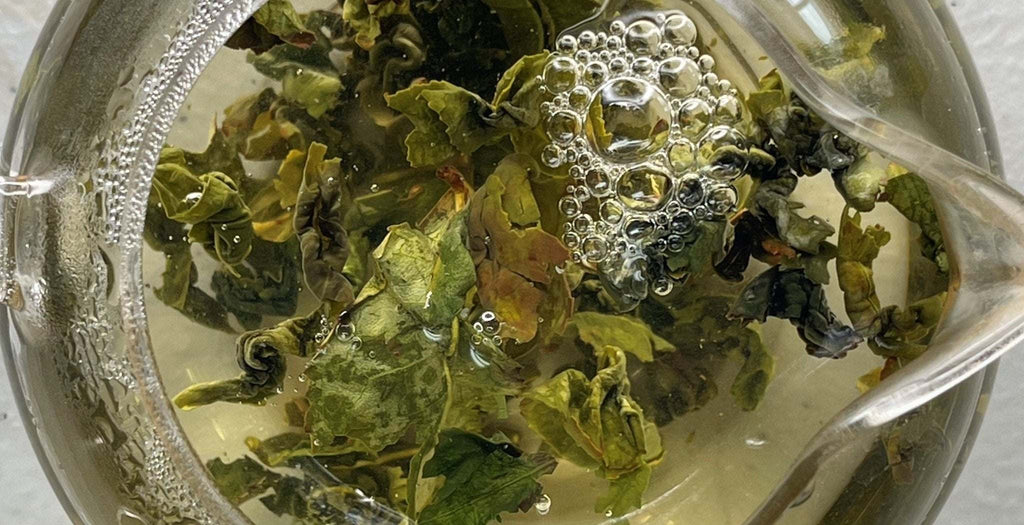 Oolong Tea