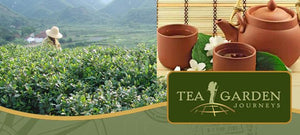 Tea Garden Journeys - Drink Great Tea