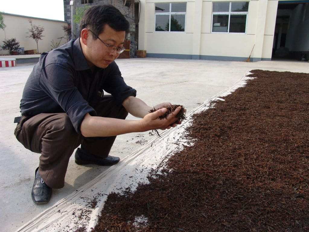 Keemun Mao Feng Processing