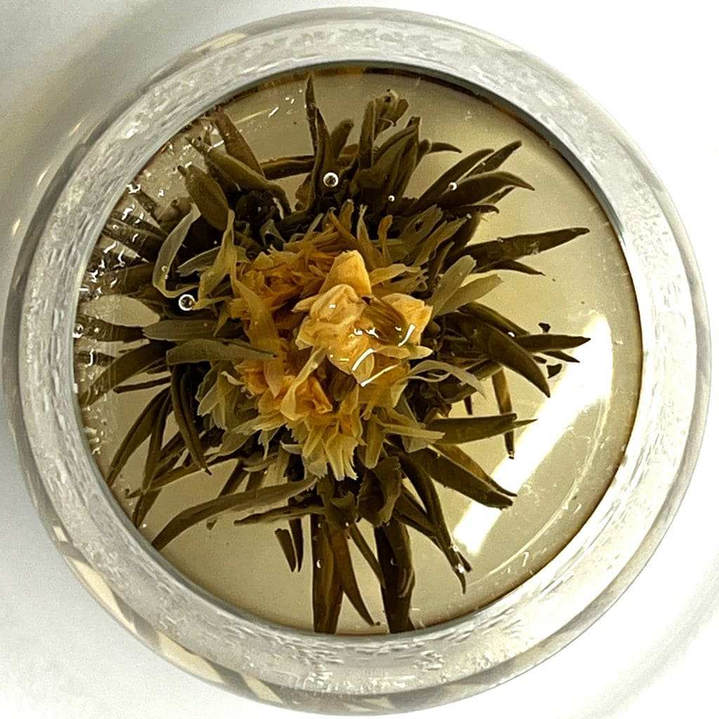 Magic in the Water™ Blooming Tea