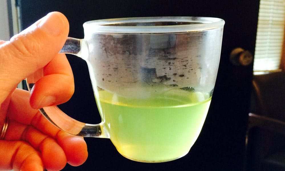Buy Round Glass Tea Tasting Cup Online Drink Great Tea Buy round glass tea tasting cup online drink great tea