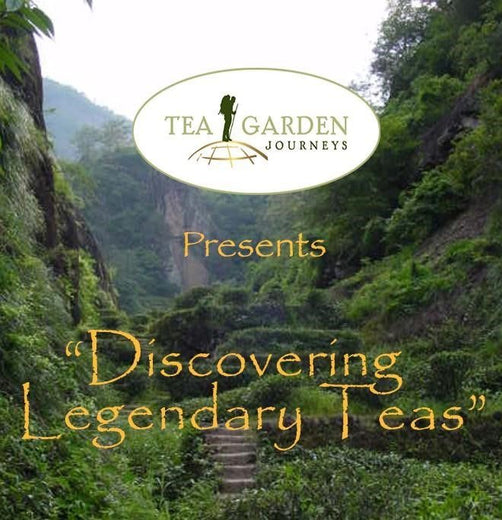 Discovering Legendary Teas...Virtual Tea Immersion And Focused Tasting... Drink Great Tea