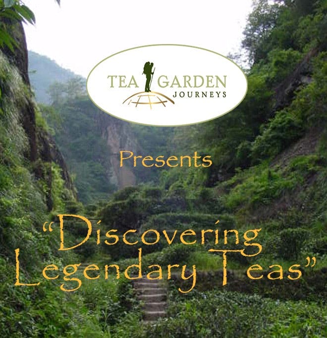 Discovering Legendary Teas Tea Club - Drink Great Tea