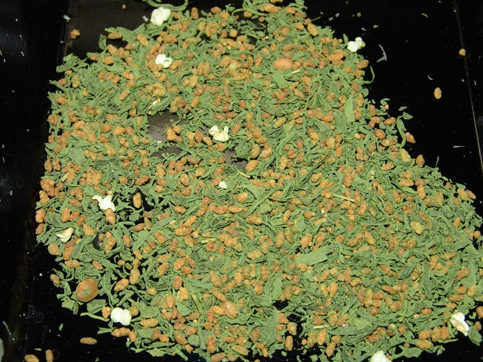 Bulk Imperial Jade Green Tea Leaves