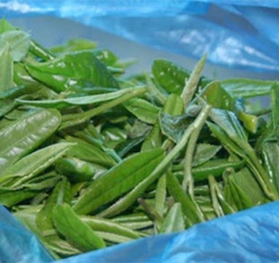 Joongjak, South Korean Organic Green Tea...Marvelous - Drink Great Tea