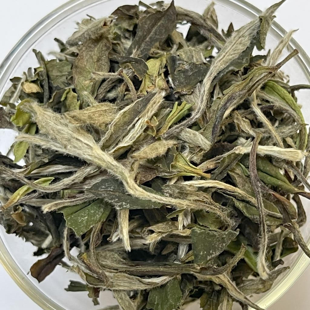 White Peony...(Bai Mu Dan) Silver Needle Buds, Plus The Next Two Leaves Down The Stem - Drink Great Tea