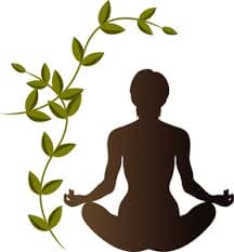 Yoga Blend, Wellness Herbal Infusion - Drink Great Tea